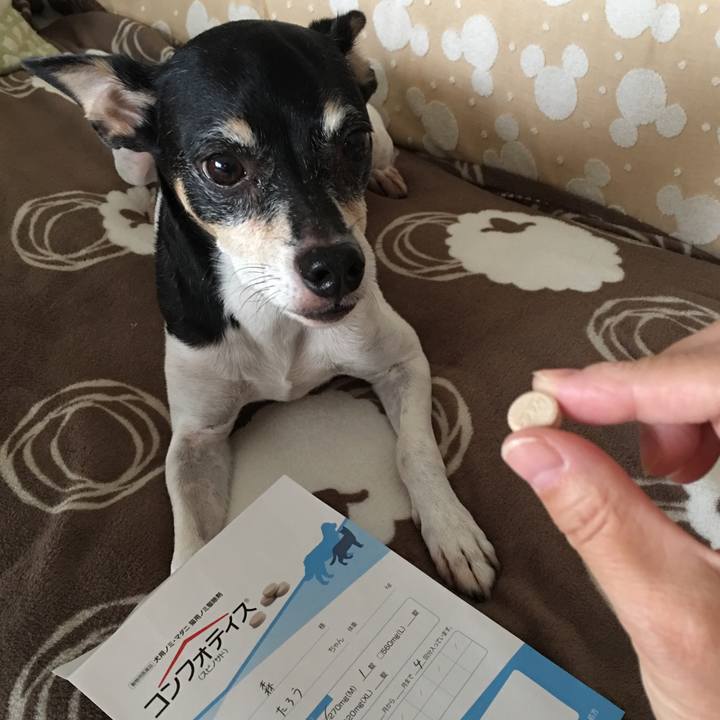 047e2af0 07d3 41da 8b5e 09df26ef7d19 1508025321616