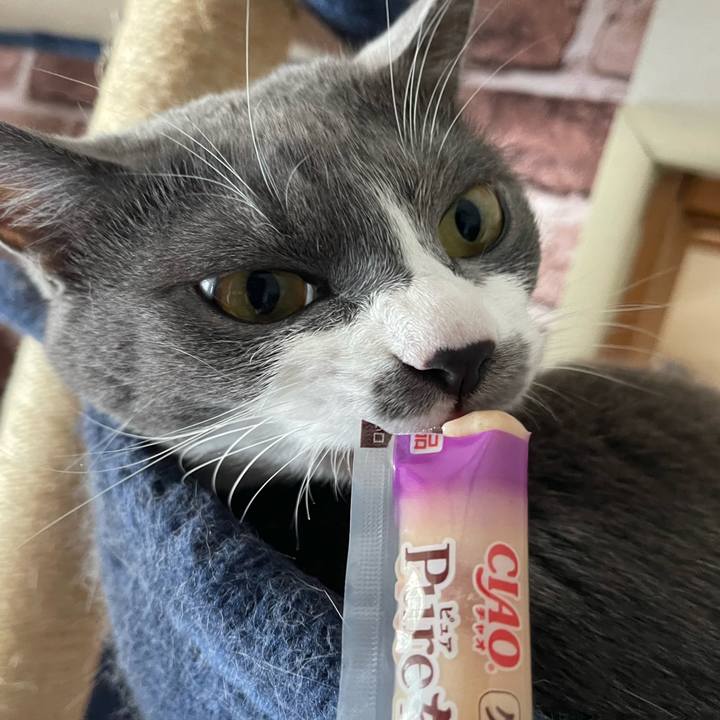 047e31cc a79b 499e 8d2b 7cadf6f50bd3 1657088955098