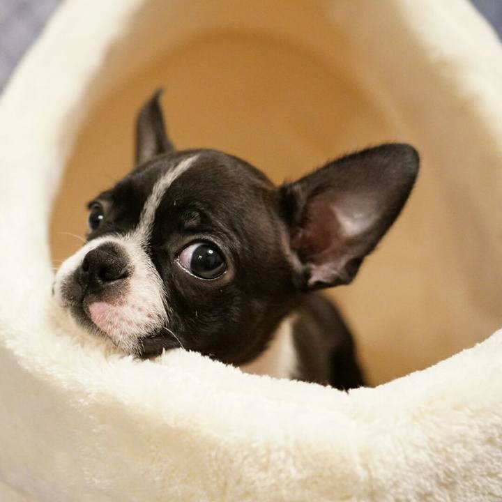 047e6319 ccd1 4451 aeae 105ba7e30273 1538450466679