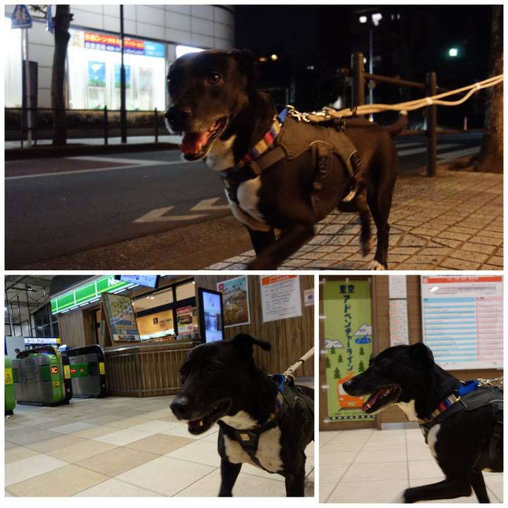 047e80ef 2d25 4cb3 add5 6ea10f901f0b 1647169741866