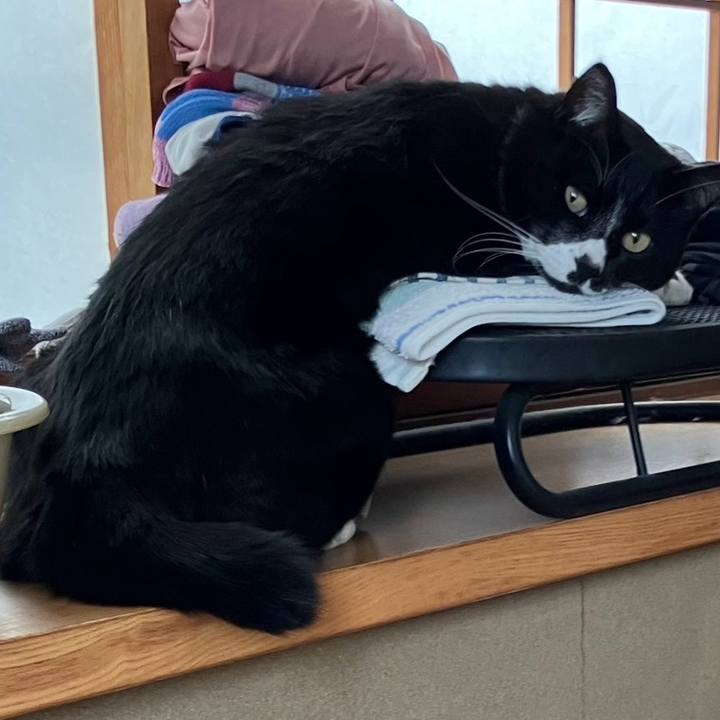 047e8751 8e5c 471e 9606 d17c5b5a76a1 1754625874216