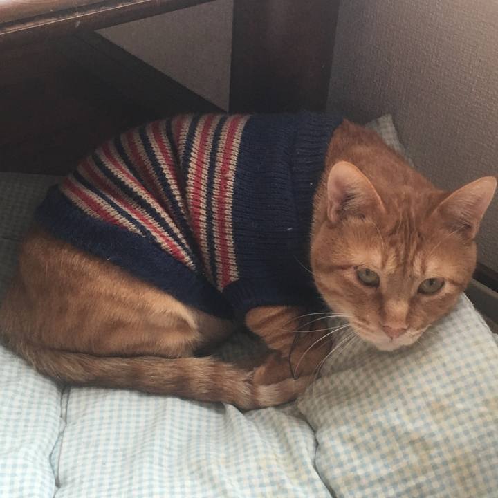 047ea4c9 449a 4717 beb8 f75850008ecd 1543980861134