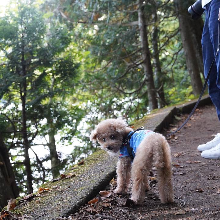 047ea964 2dce 4e78 9cff f82a13abe571 1663590889867