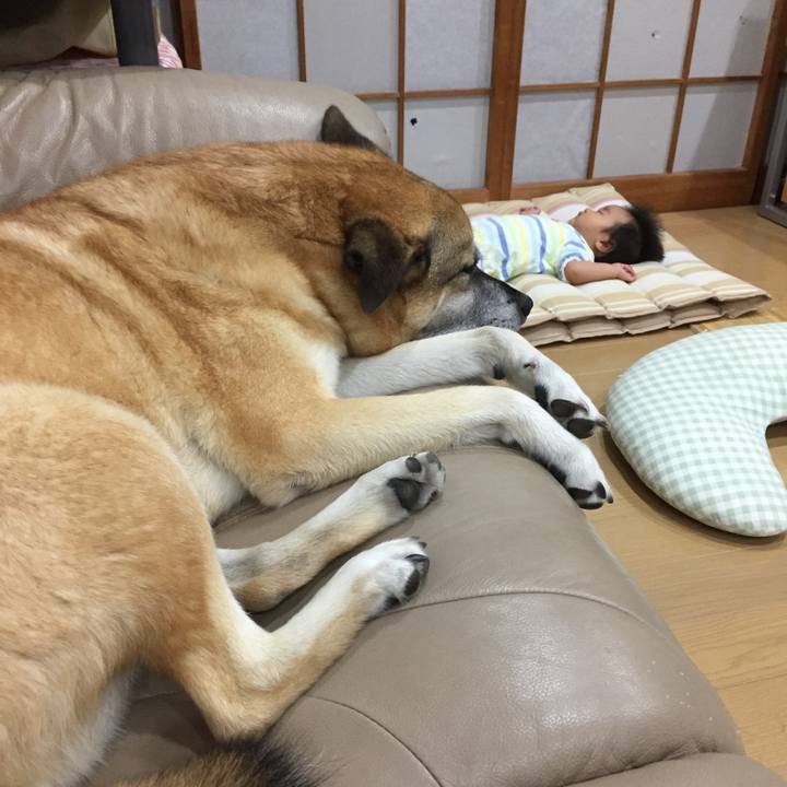 047ec1f1 83bd 4571 a162 90333fba9234 1535200067537