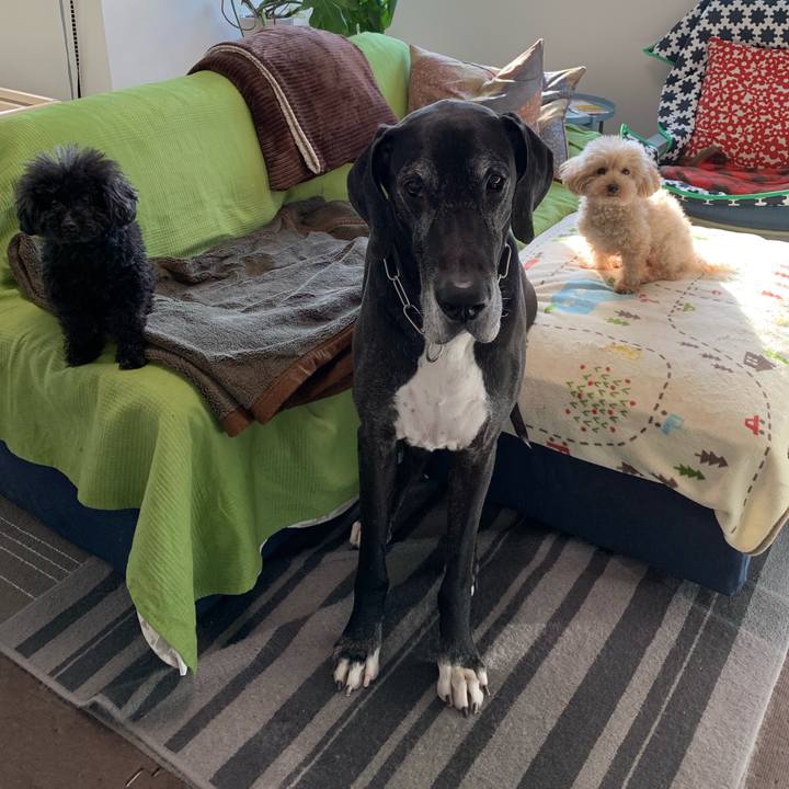 047eea6d 0f04 4ef7 9b87 c72e5a9f9a8b 1553467421859