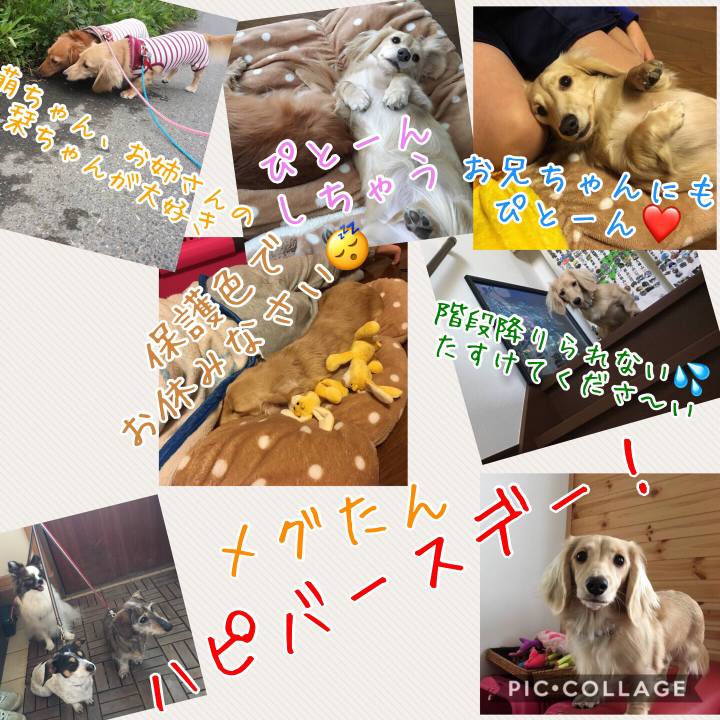 047f00a5 7c70 415c 80b5 51617eda3be9 1513037967821