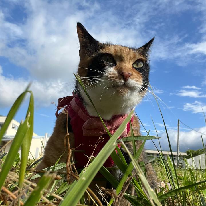 047f32f3 9eb6 4baf 8b98 2de21d422841 1685765114249