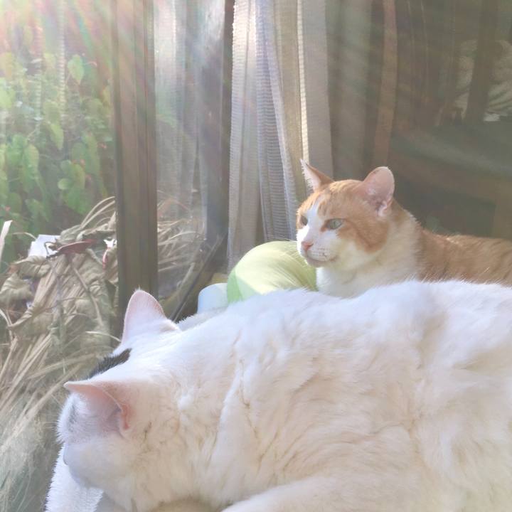 047fdf28 74e2 4db9 ad02 be5cabb5c8f9 1598504500634