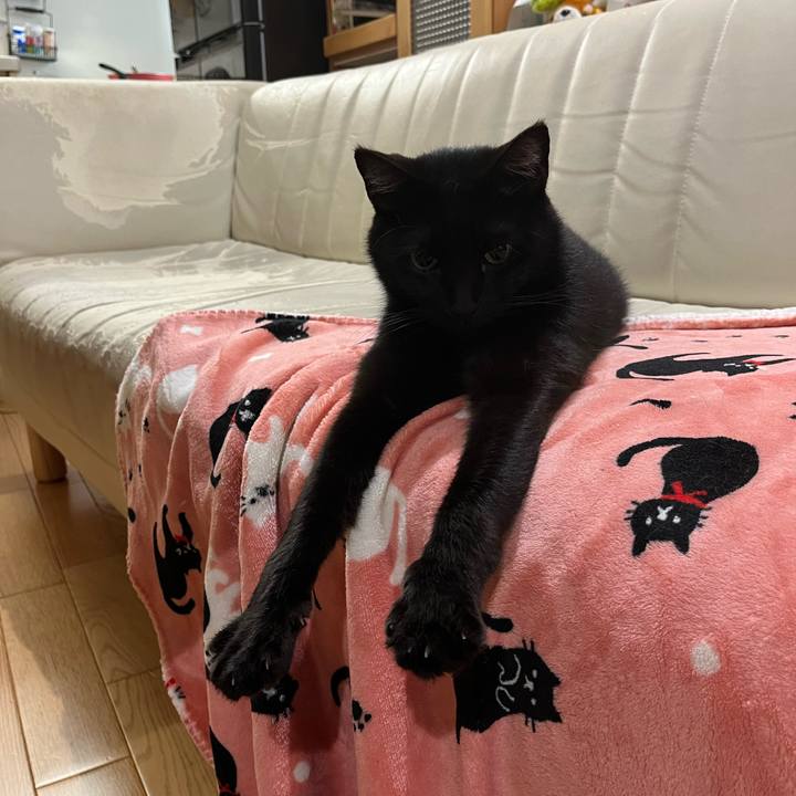 047ffae4 5089 40d0 81f6 8bba546b55d9 1681563210887