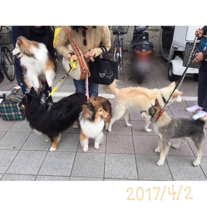 04800fc4 c459 4749 9505 fedd01743327 1524117645744