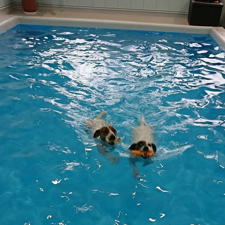 048011ac 0391 42b5 9094 deebd6f8d242 1574498942585