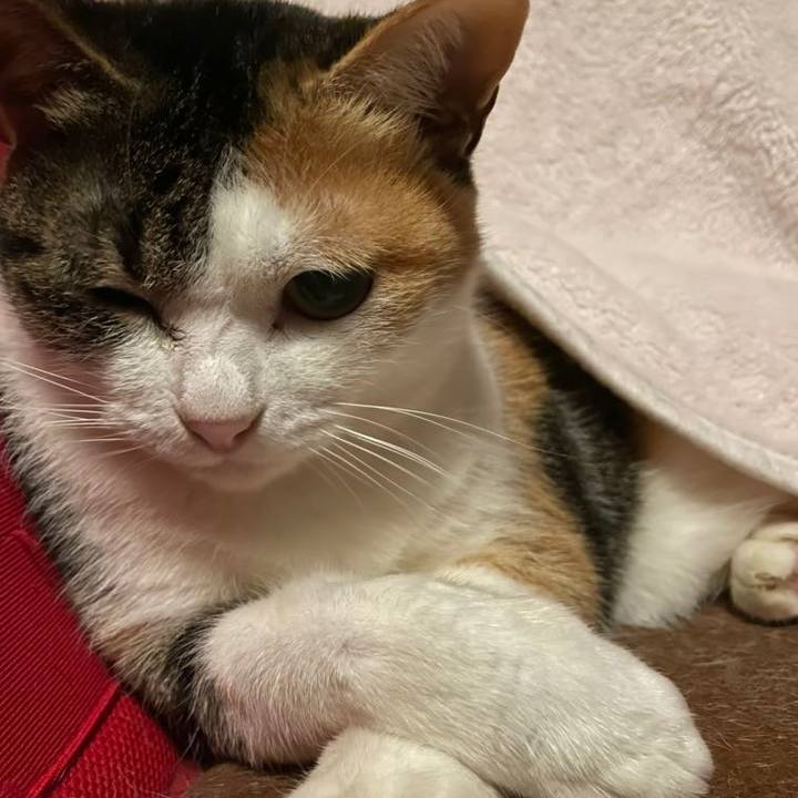 0480309c 62a6 4f86 a008 39a271c3b6a5 1638966727041