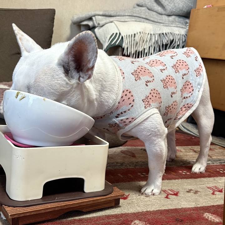 048030b2 6356 4e31 80f8 0b75ec4a075a 1772146088055