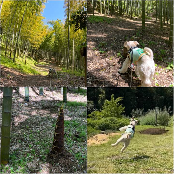 0480505c fb6e 4f28 987e 1a3068da509c 1587814689660