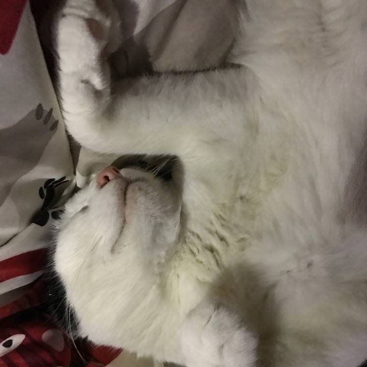 0480795b 11cb 4d5b 897e a59604d733b1 1526305536100