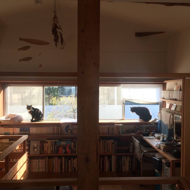 04807b25 ea29 4bbc 89df a4c9fc920785 1516495283119