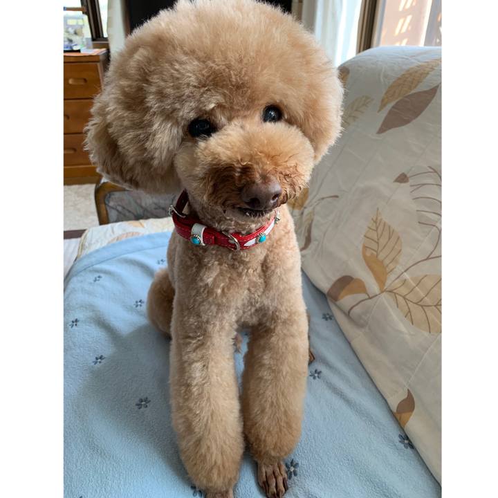 0480f2b8 0c42 4565 a15a c230fe39ae11 1556180692469