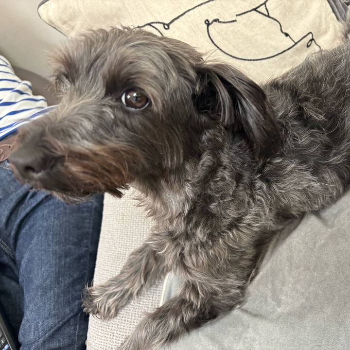 0480f8ab 3169 477e 846d 90f52ff9a516 1759053278498