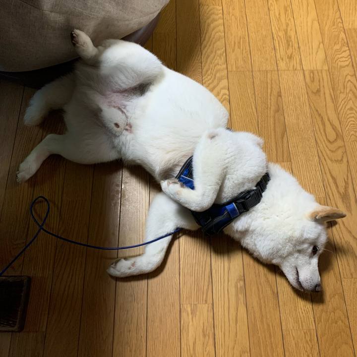 0481066a 2e66 4d7e 9db7 31846fc9c3c6 1660683530459