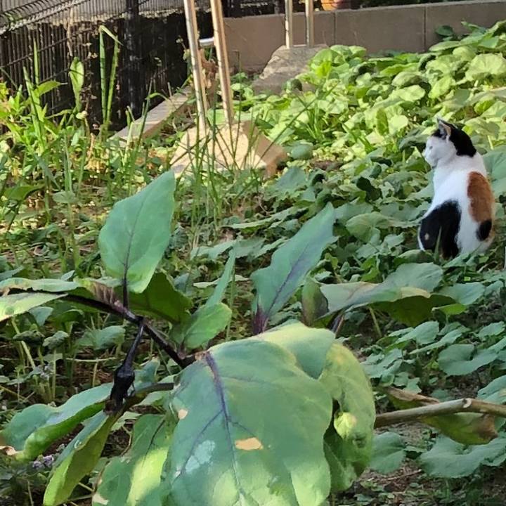 04812d65 24f9 45e1 b661 97769938d890 1602543654398