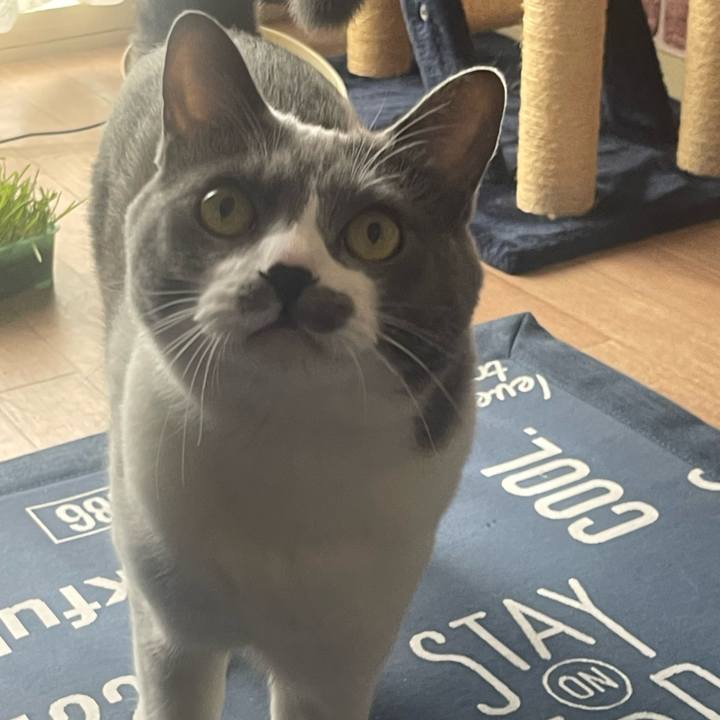 04812e68 8e80 4ce6 b1cd f87df623323a 1697246779761