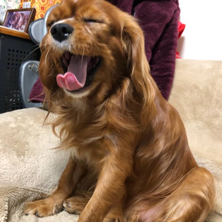 048142c3 64f0 40b7 a51b 86b5f4ba464c 1580477184968