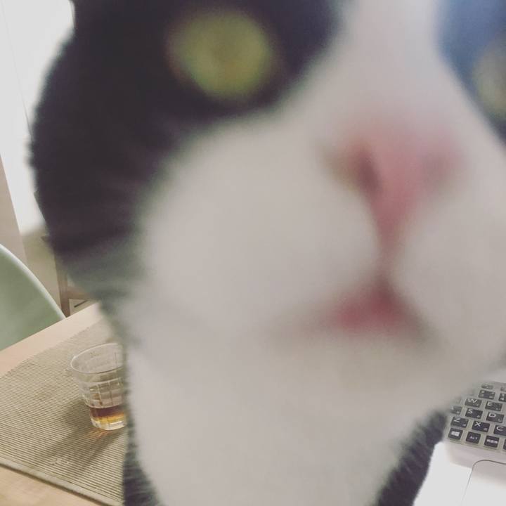 048150d4 75d7 4b47 b952 7d96e34894bb 1576982368876