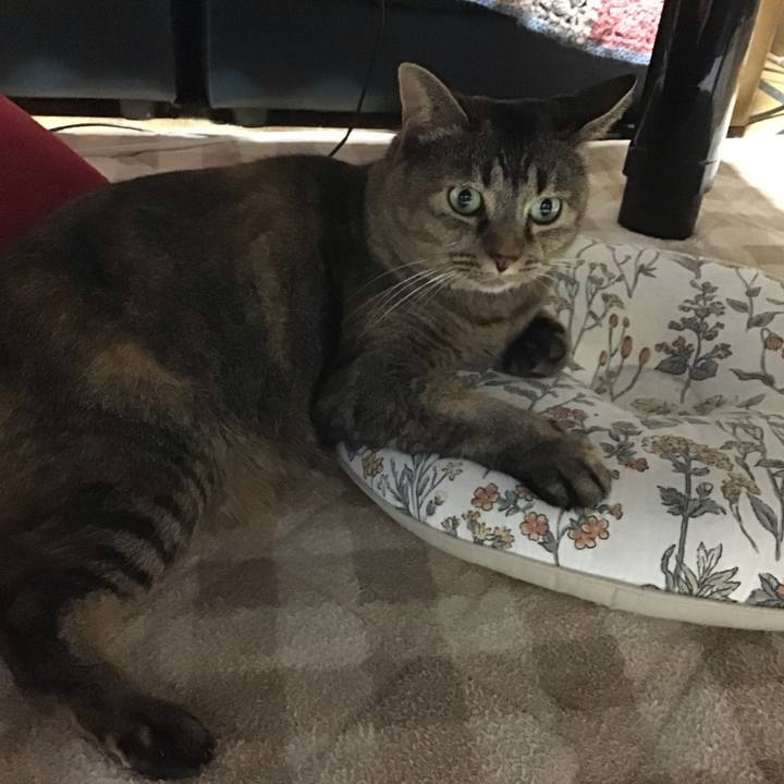 04816175 8365 4616 ae45 ef145cba5815 1729250910787