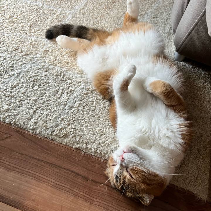 0481825c 93c8 4547 82b2 f12c31ff4246 1692082161756