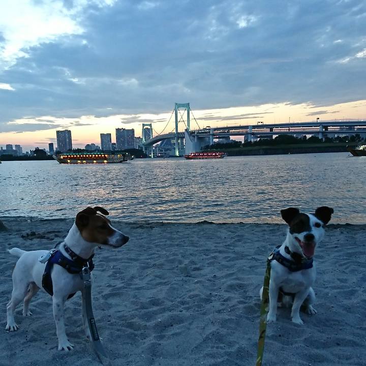 048187b2 0044 4d9f aa0a 27280d2ed6ba 1535623431676