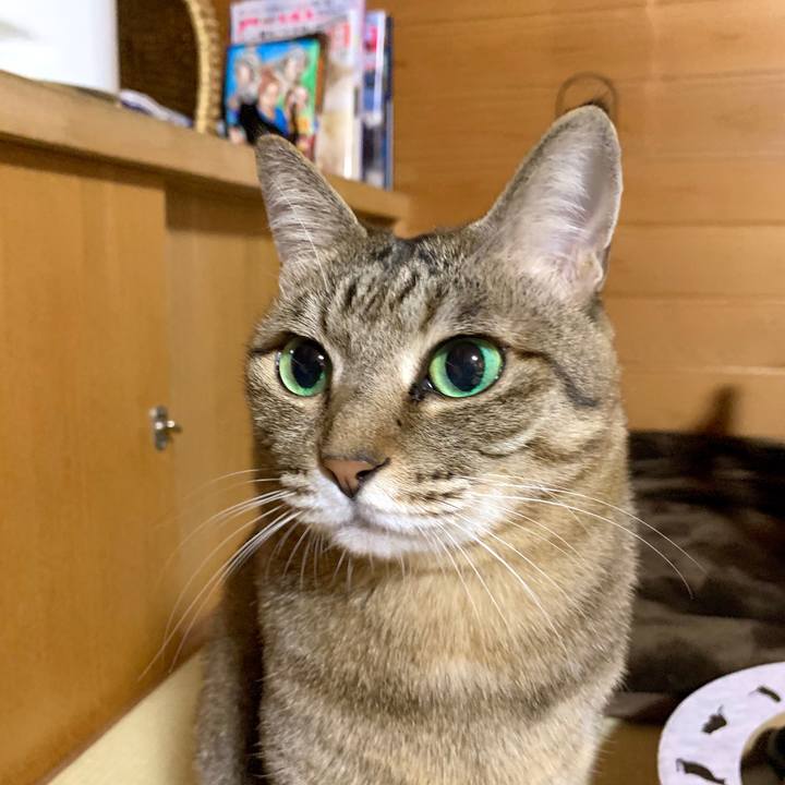 0481b467 57d6 4dda a657 d8c95ec3452c 1582980760784