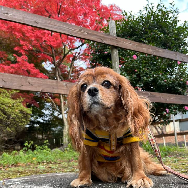 0481b5d9 0475 4d22 8534 f5bfc9d5ce59 1732925557786