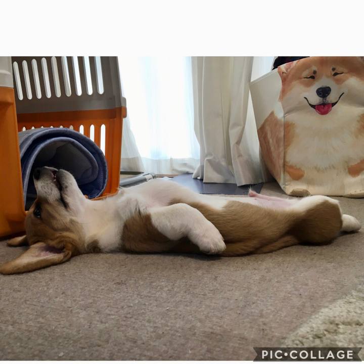 0481e5b2 3e32 4bc0 aea9 17fb38e81fe8 1590296810225