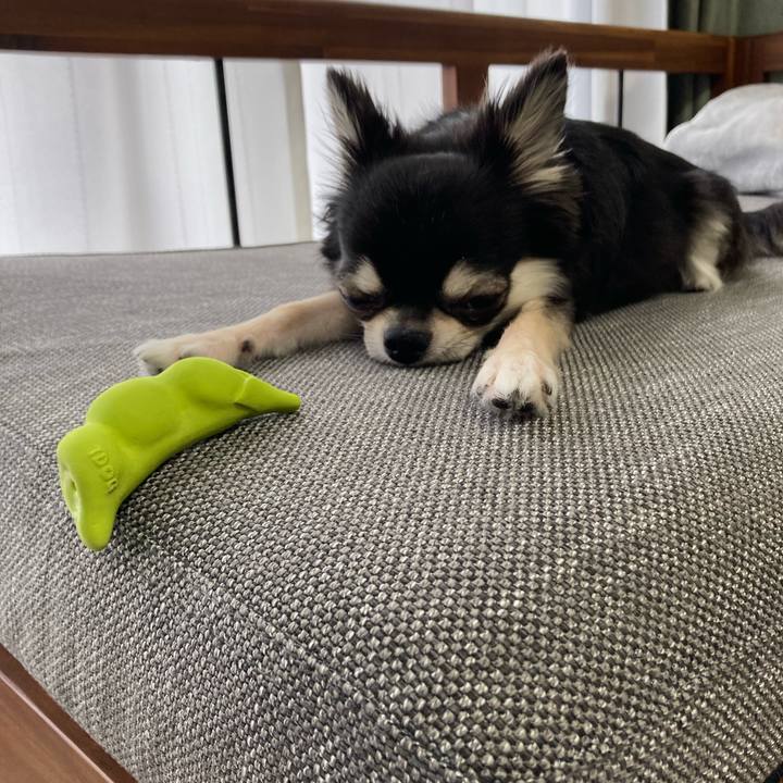 0481fb17 6a7e 4e62 8810 4e4f1c93451c 1627688374564