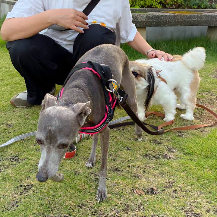 0482093f 3cc4 41ad bffd dd6c71e976d8 1760443178462