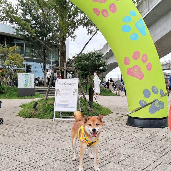 04821800 e6c2 48f5 9d1a 2269a2791bde 1601191117921