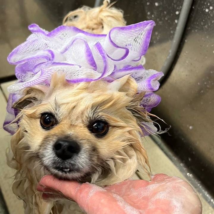 04822993 b6e6 4865 9391 8e95c28c0fab 1717387041746