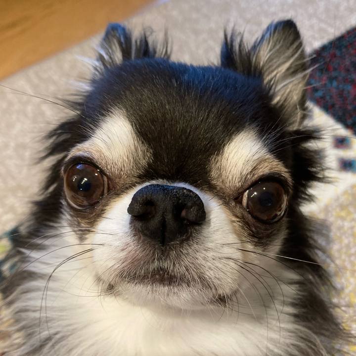 04823854 c38c 4963 9afe ab3dd0cbcc59 1708817107970