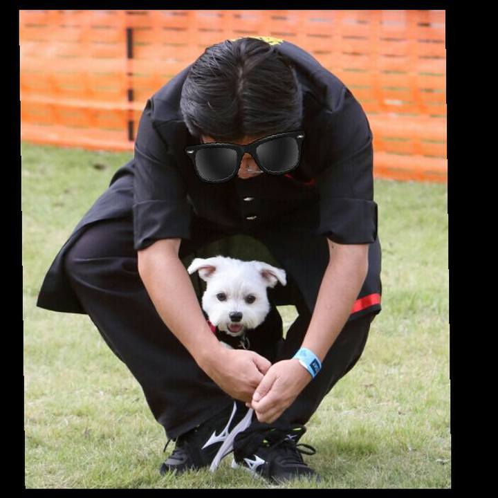 04825b9e 524e 4b3f a364 7e7d6bbf51be 1507641897169