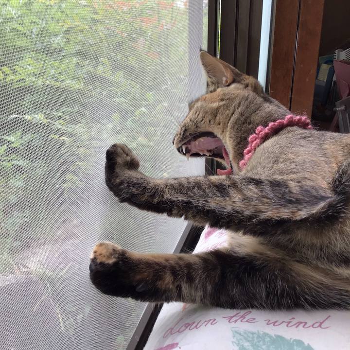 0482ccd6 7d4b 49c7 8f82 c1b2a96b7920 1588477242966