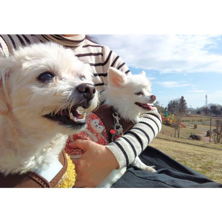 0482d5e8 ceb3 434d a7cd e44ed45e9150 1677149557049