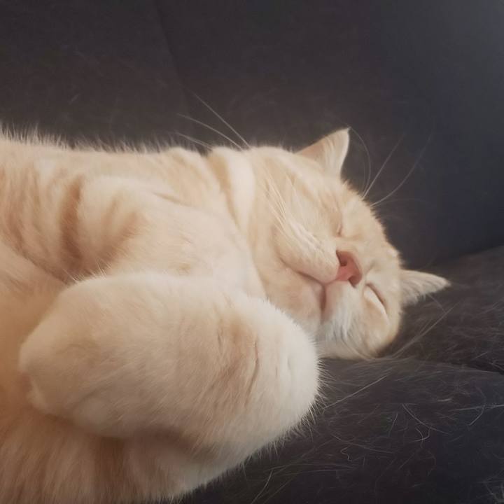 0482da6e abb3 4711 80ed 6cc0c891f0fb 1541734832177