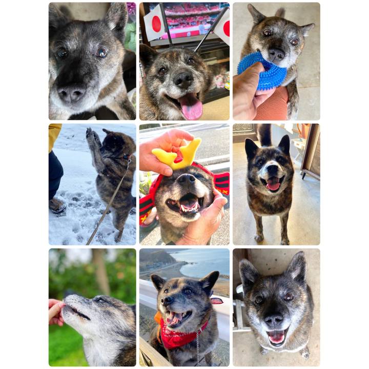 0482dd21 731a 428f 829e e542e825a10c 1640935770682