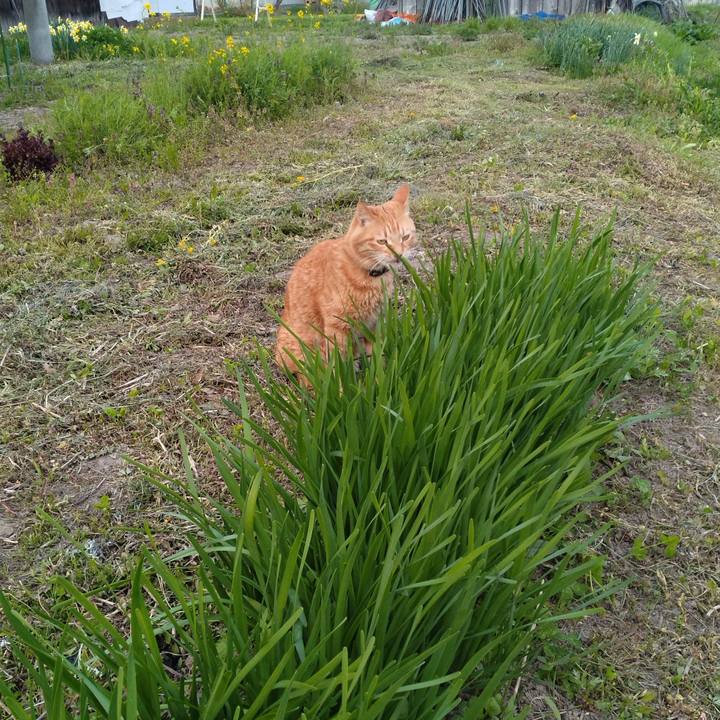 0482df03 76ca 4017 b4d0 33f177341800 1713689131572