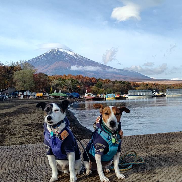 0482e878 907e 4b40 b704 5cf063588cdb 1699235364263