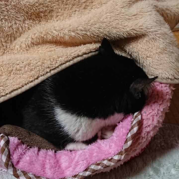 04830321 afc7 47df 8d62 a7f8924f17e8 1547730058299