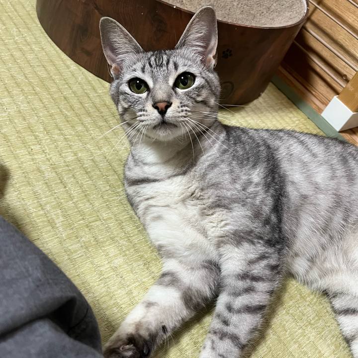 04833ac7 0085 40d9 847f f90eacc9a819 1751871442307