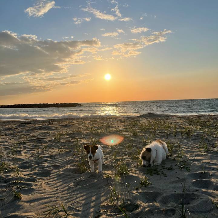 04834907 1e65 4b29 9840 c5ae33f127de 1619344335012