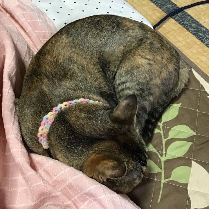 048361fd 1d57 4ffc 8ea2 204b7bc96e36 1615593866700