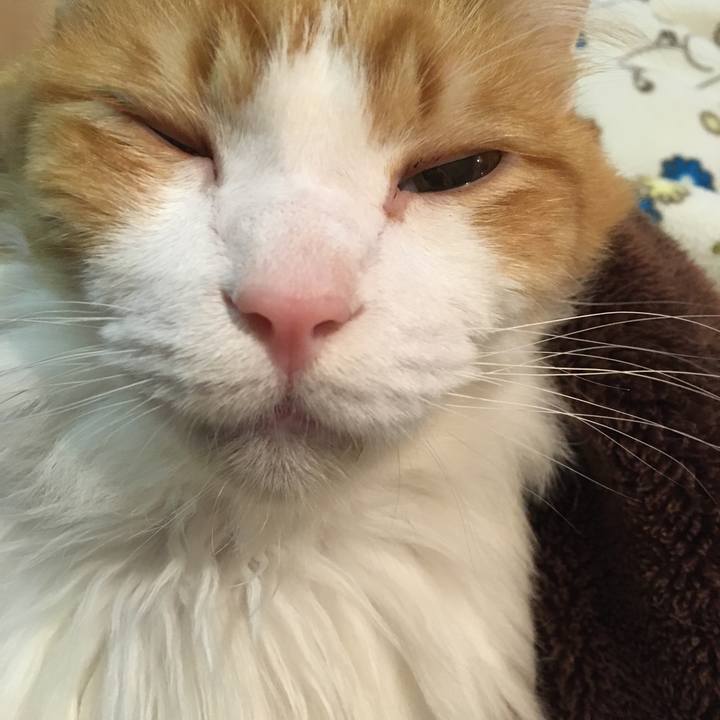 04836995 4225 402a a4fe 62662da88228 1577101637997